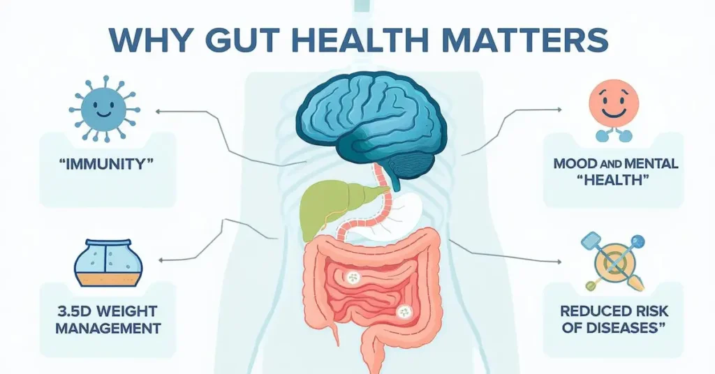 Why Gut Health Matters – Importance of a healthy digestive system