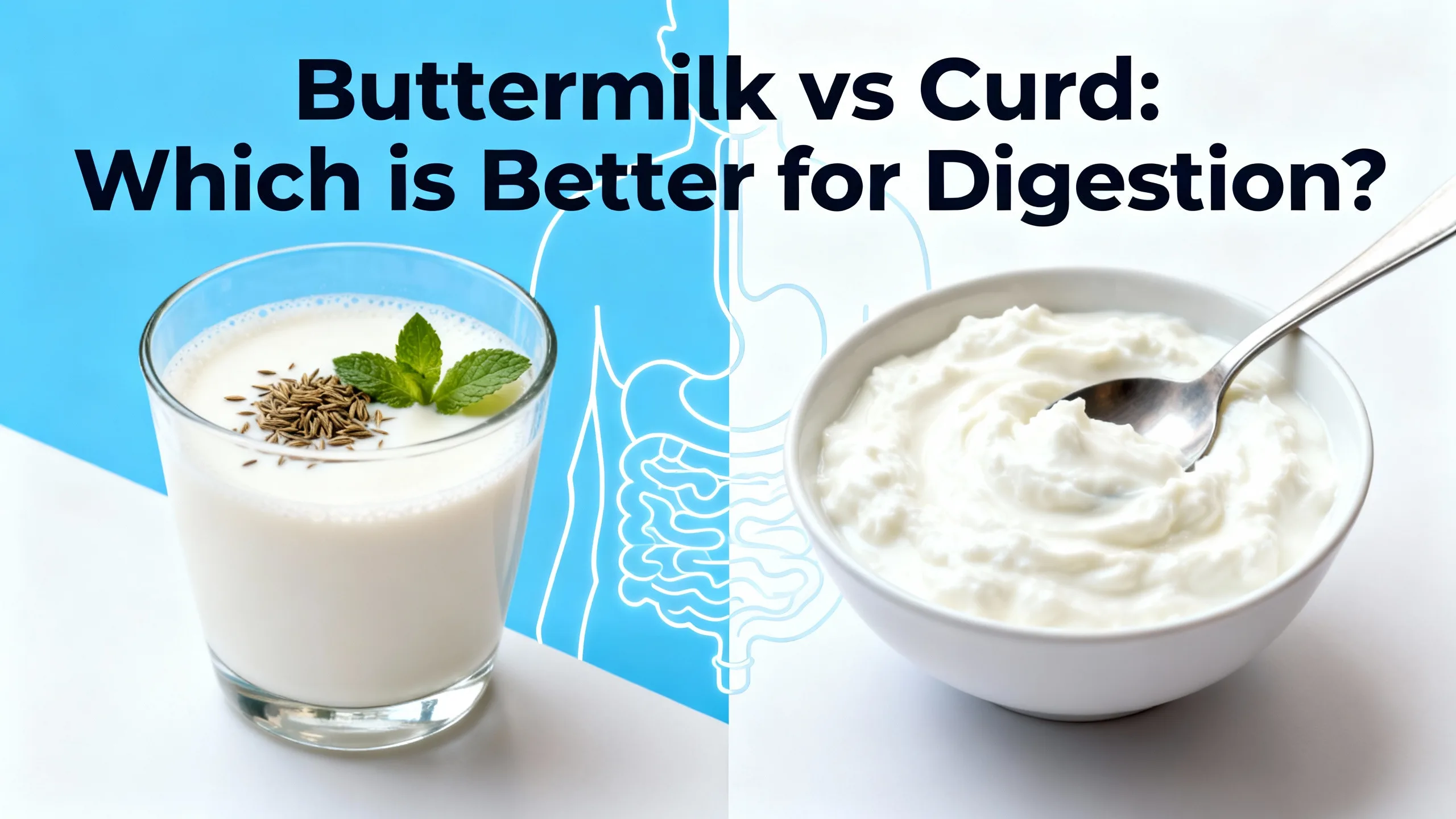 Buttermilk vs Curd – Best Choice for Digestion and Gut Health